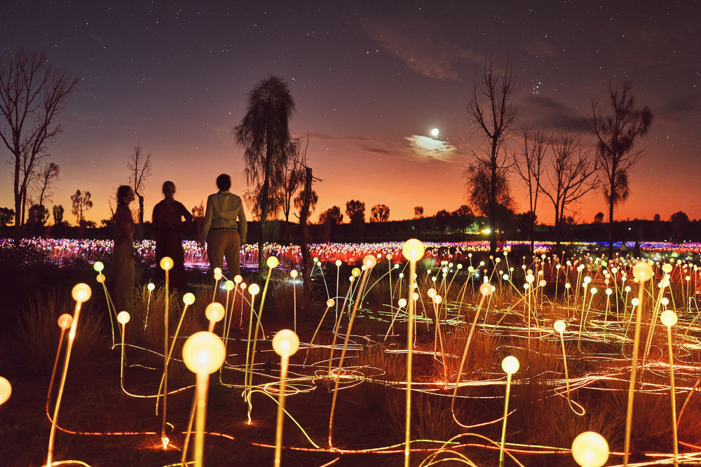 Delegates walking through the Field of Light in Uluru