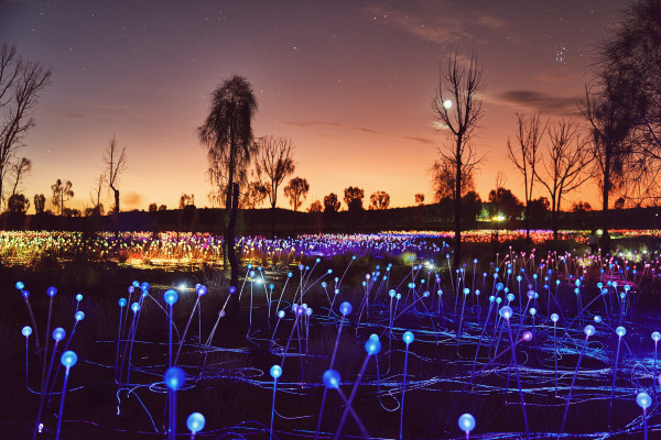 Blue field of light 