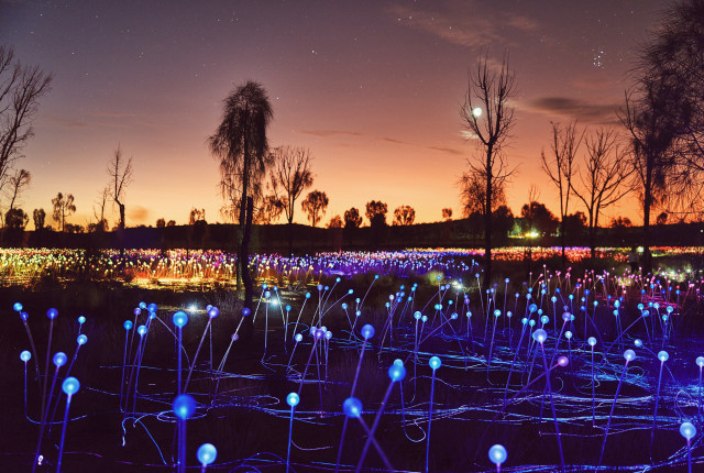 Field of Light experience Uluru