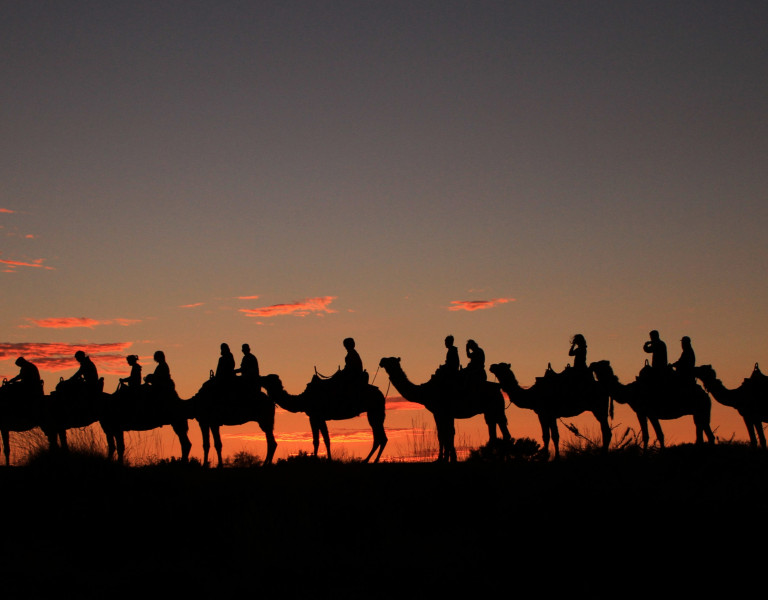 A line of camels and riders is silhouetted against an orange sunset sky, creating a striking outline across the ridge of a sand dune.