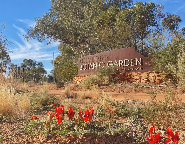 The entrance sign for Olive Pink Botanic Garden in Alice Springs, surrounded by desert shrubs and red Sturt’s desert peas.