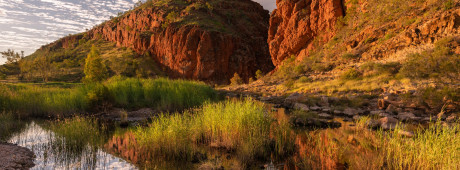 Alice Springs