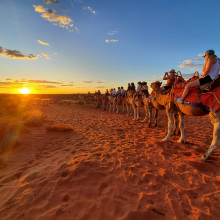 A long camel train walks across red desert sand at sunset, with warm golden light casting long shadows and highlighting the texture of the landscape.