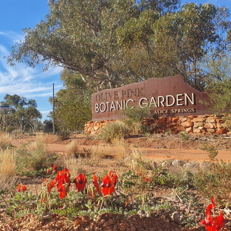 The entrance sign for Olive Pink Botanic Garden in Alice Springs, surrounded by desert shrubs and red Sturt’s desert peas.