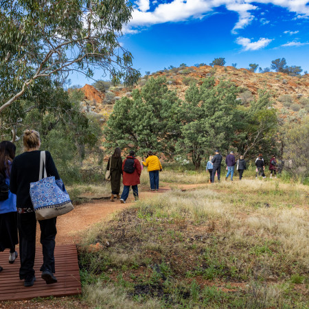 Delegates looking for bush tucker