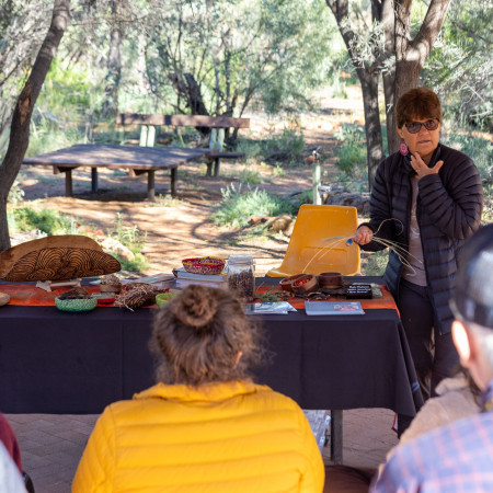 Delegates learning about bush tucker