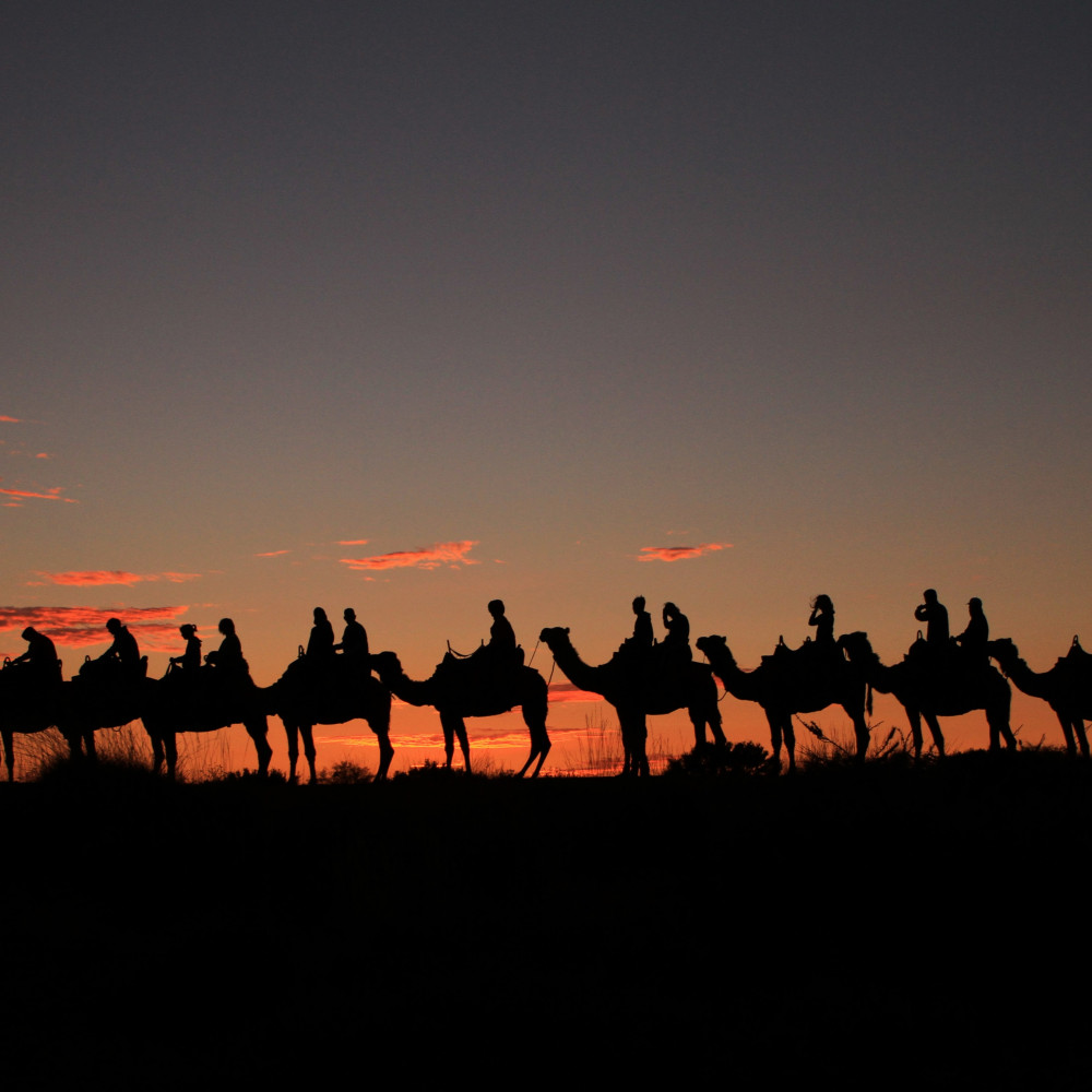 A line of camels and riders is silhouetted against an orange sunset sky, creating a striking outline across the ridge of a sand dune.