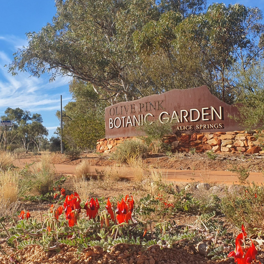 The entrance sign for Olive Pink Botanic Garden in Alice Springs, surrounded by desert shrubs and red Sturt’s desert peas.
