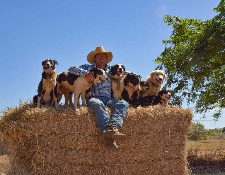 Person with a group of dogs sitting on a hay bale 