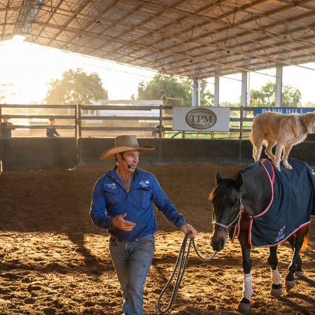 Person walking a horse, horse with dog standing on its back 
