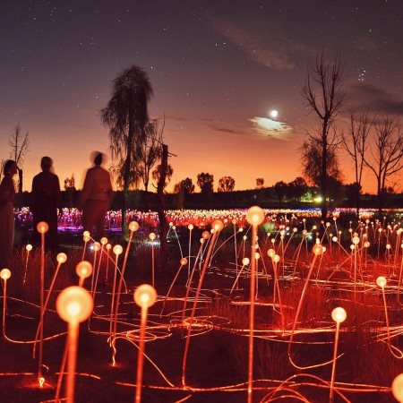 Field of Light