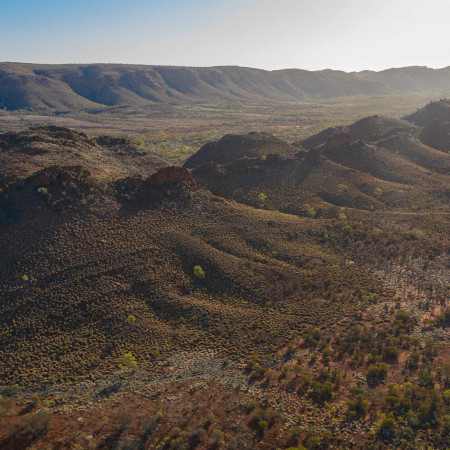 Emu Run Experience - West MacDonnell Ranges Tour 