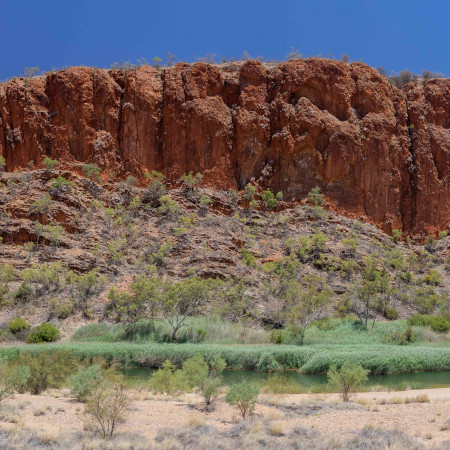 Emu Run Experience - West MacDonnell Ranges Tour