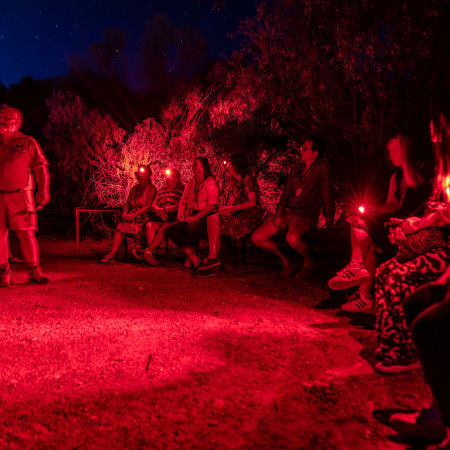 Alice Springs Desert Park Nocturnal Tour