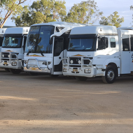 Transport busses used by Bush Bus