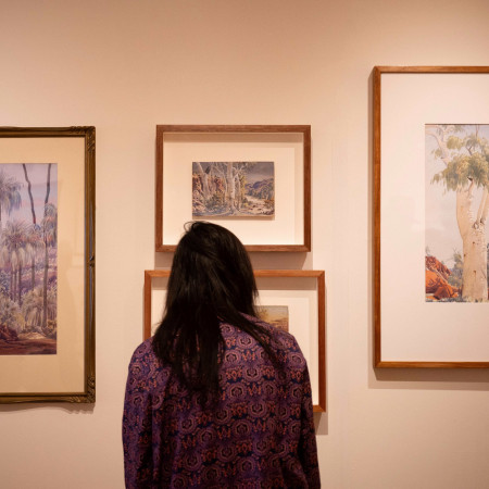 Person viewing art at Araluen Arts Centre - image credit Sara Maiorino