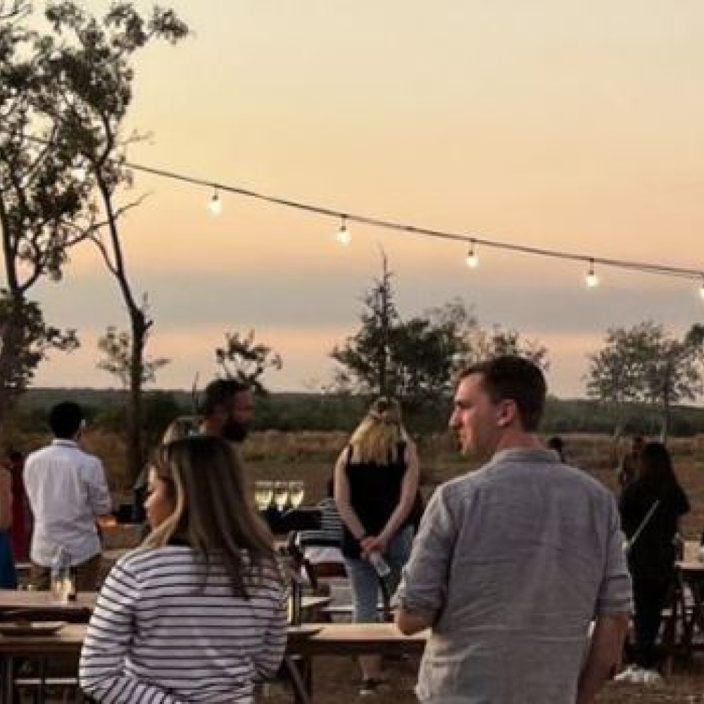 Group of people in outdoor setting with tables, fairy lights and trees