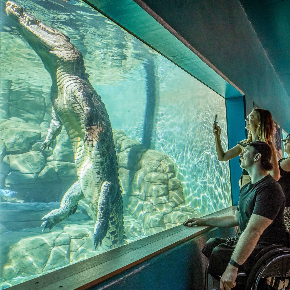 Crocosaurus Cove | Northern Territory Business Events
